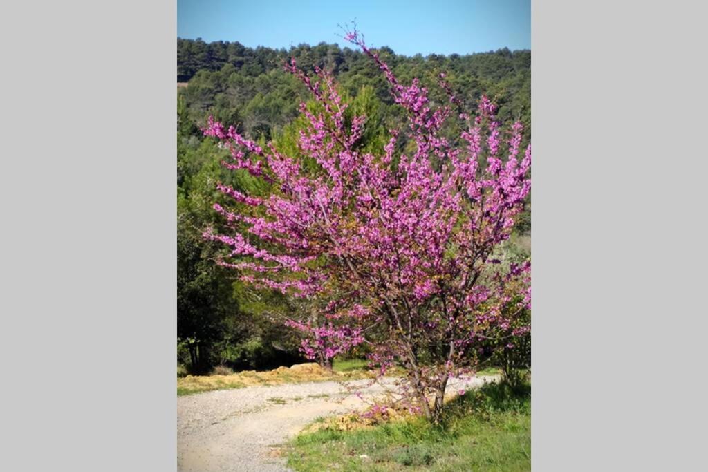 Villa L'Arbre à soleil Aigues-Vives  Esterno foto