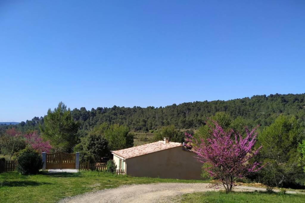 Villa L'Arbre à soleil Aigues-Vives  Esterno foto