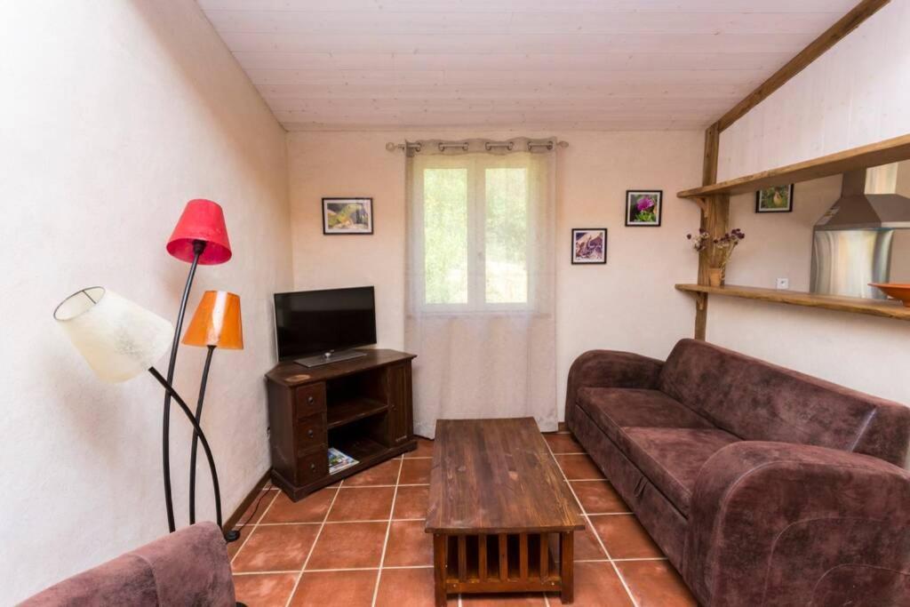 Villa L'Arbre à soleil Aigues-Vives  Esterno foto
