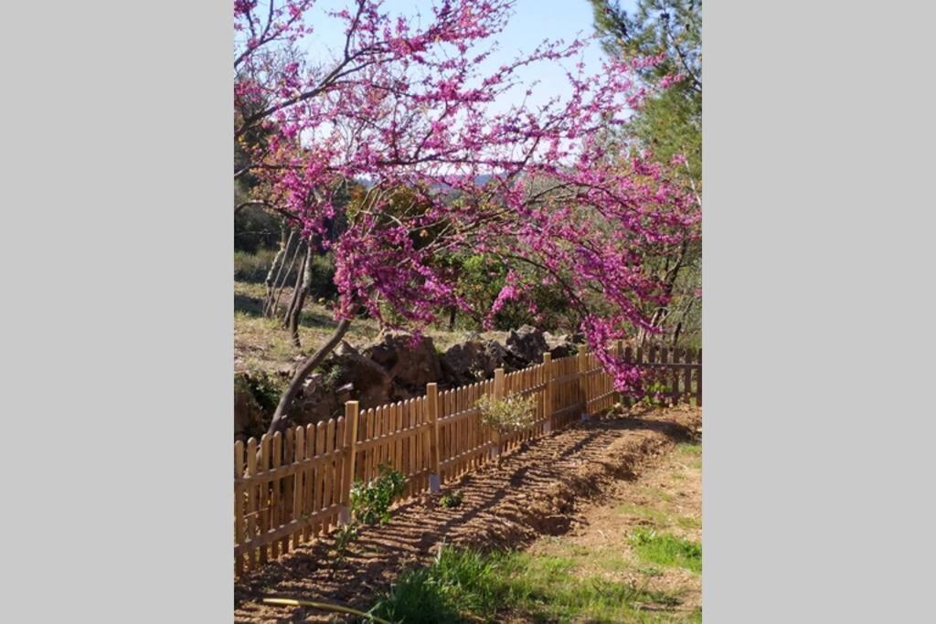 Villa L'Arbre à soleil Aigues-Vives  Esterno foto