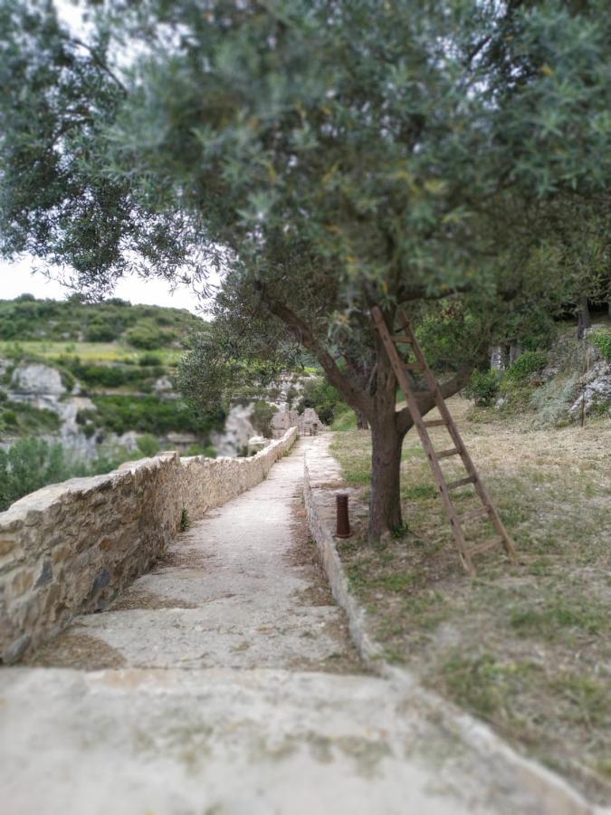 Villa L'Arbre à soleil Aigues-Vives  Esterno foto